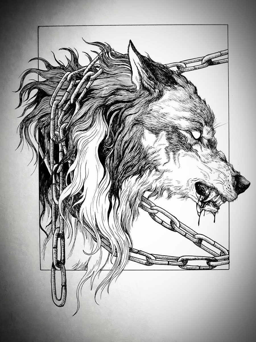 Волк карандашом