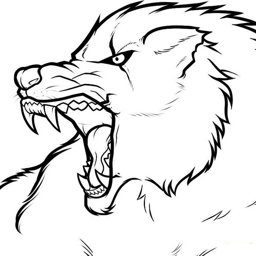 Раскраска волк