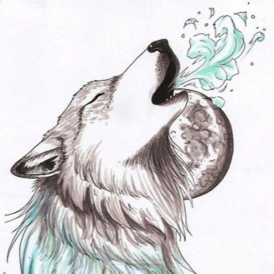 Графический портрет волка