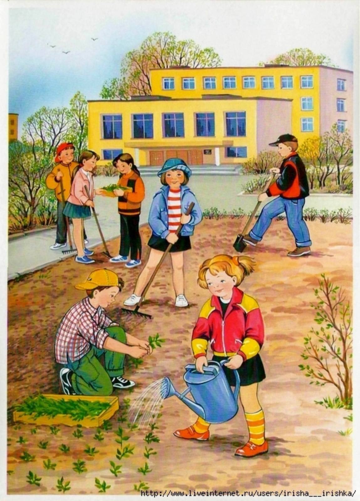 Сюжетные картинки