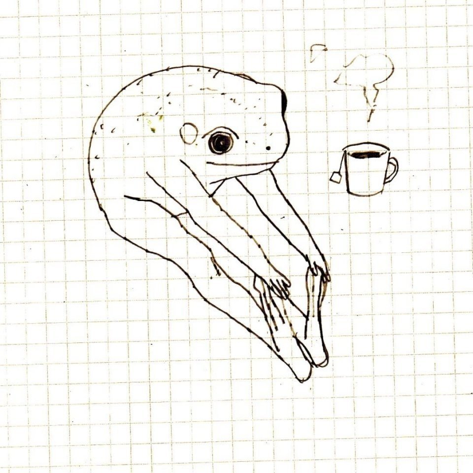 Лягушка инди КИД