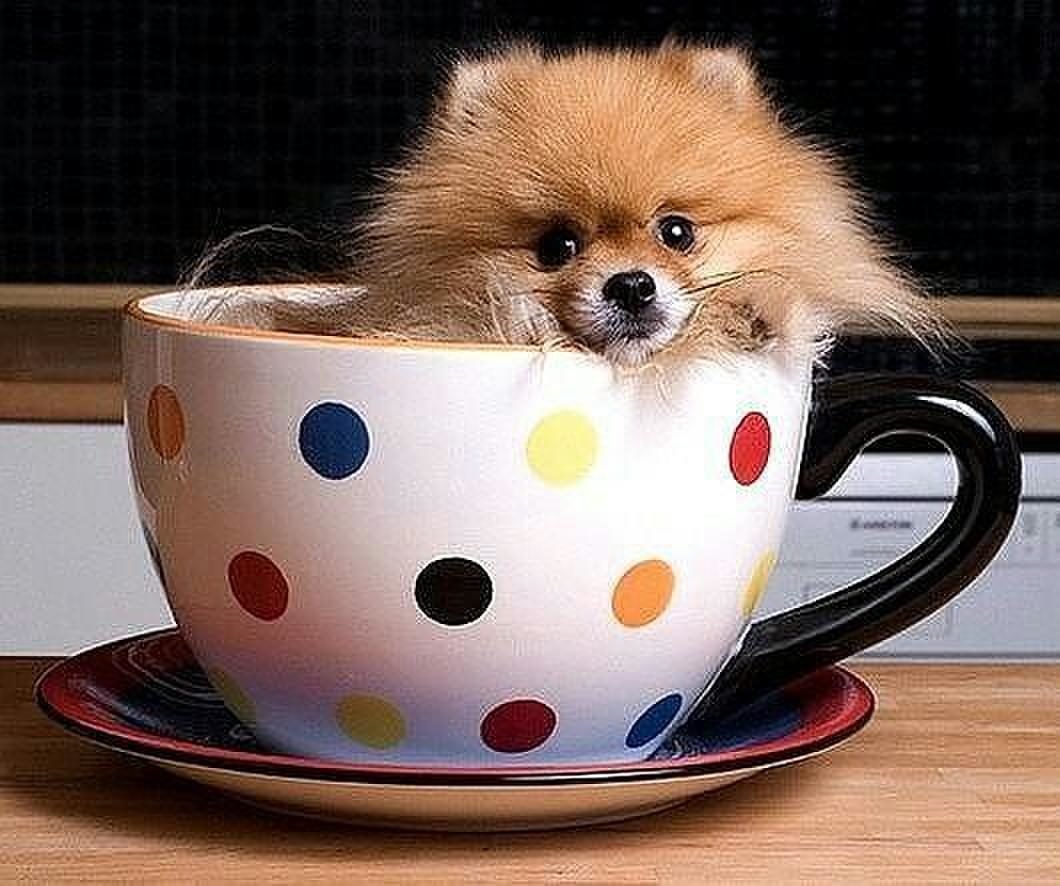 Милые и добрые игрушки