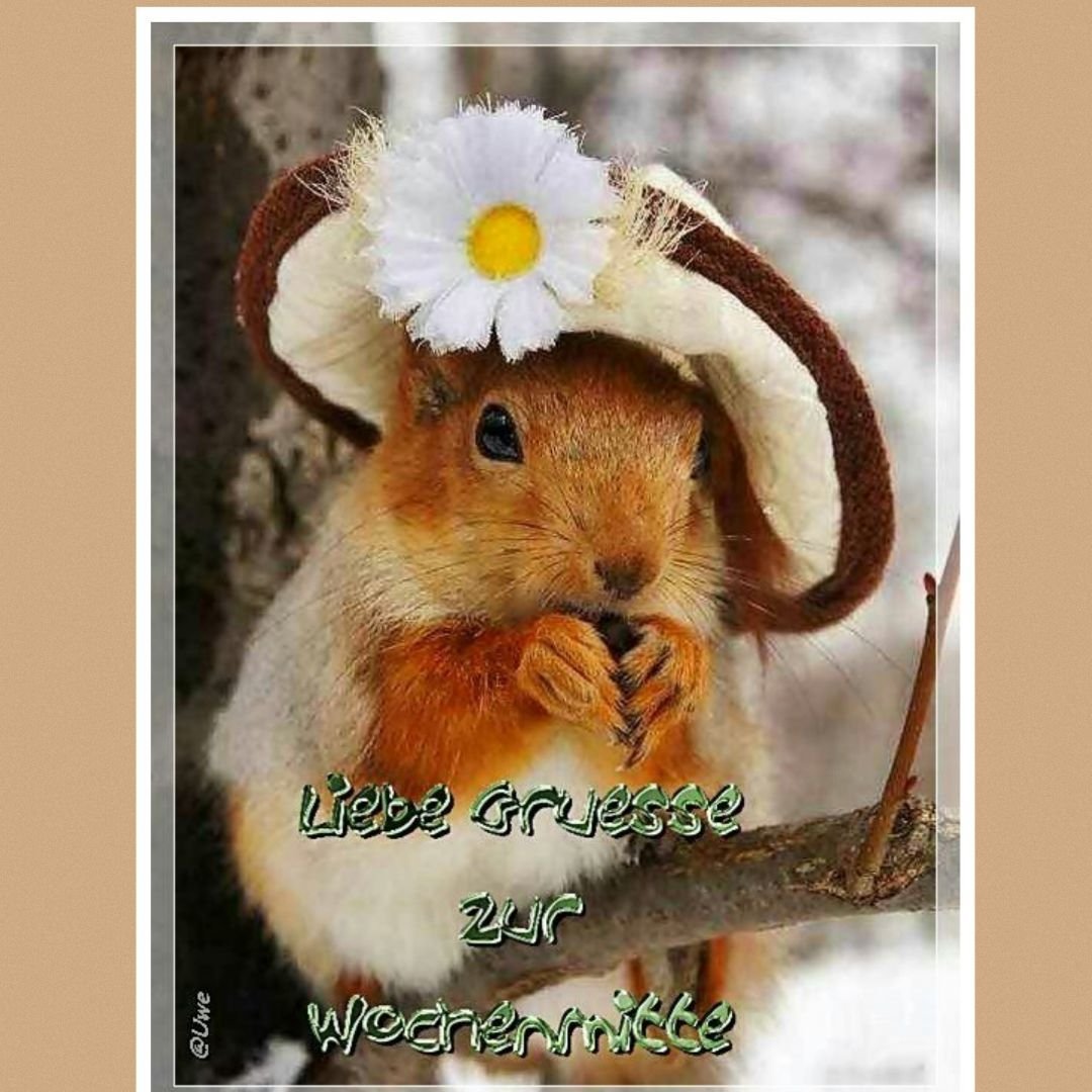 Открытка котенок с сердечком