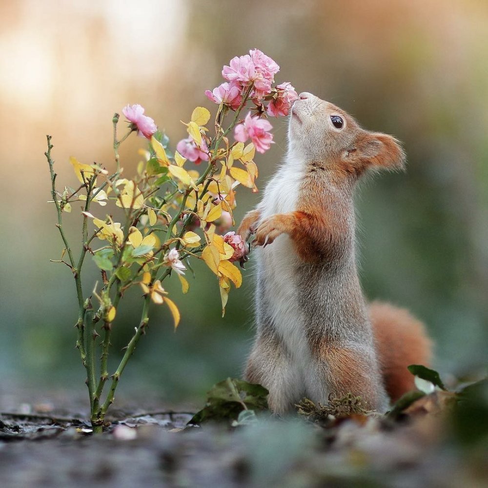 Стикеры с добрым утром