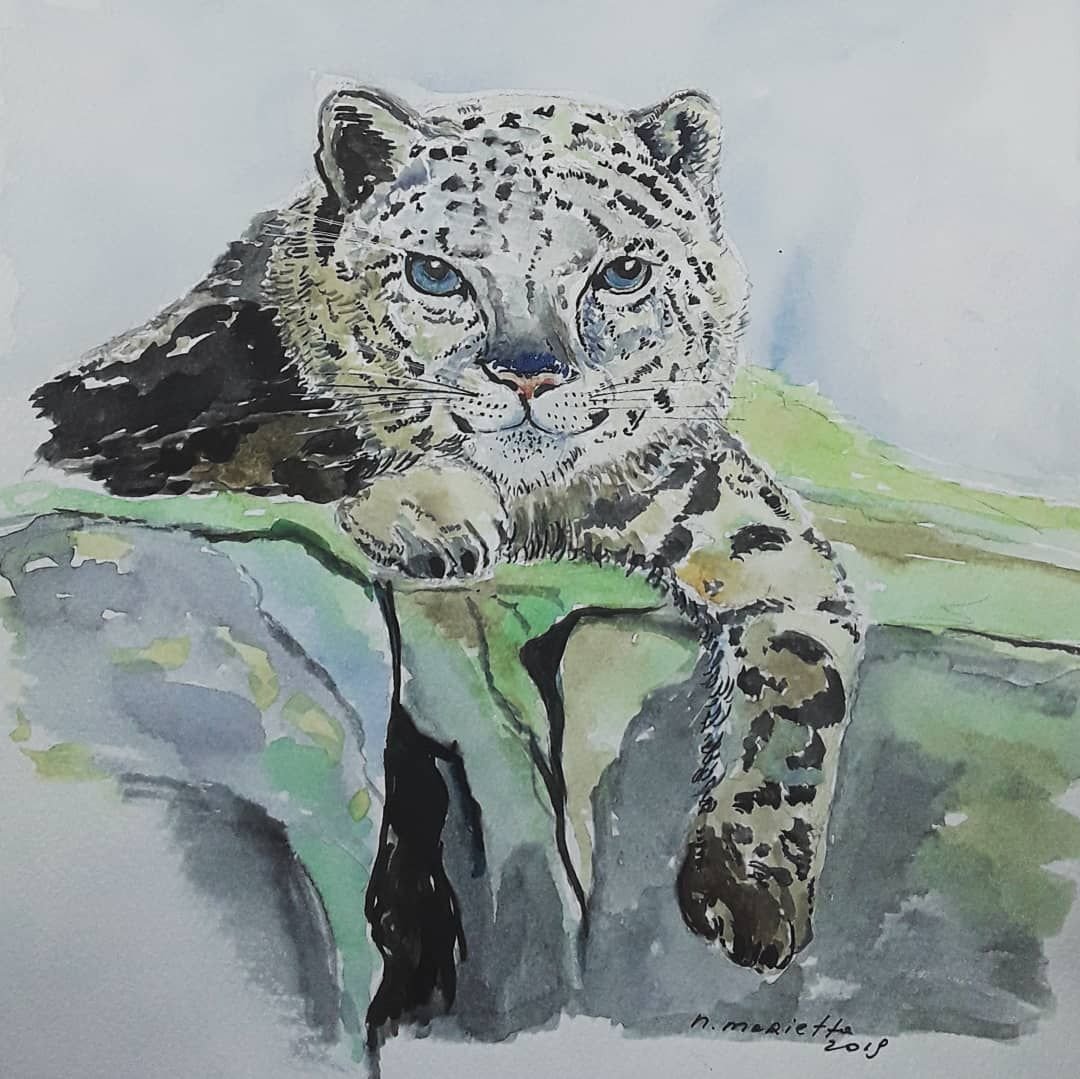 Снежный Барс голова