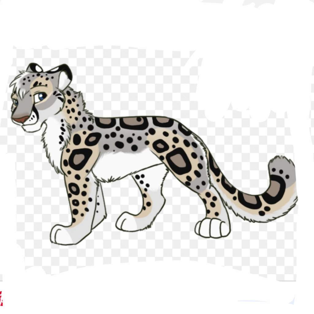 ШИМ Шиммель