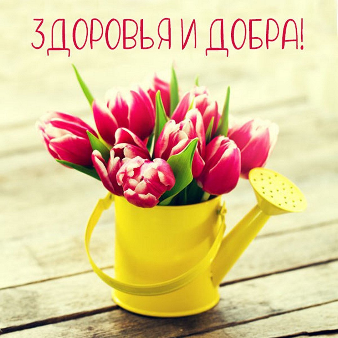 Пожелания выздоровления