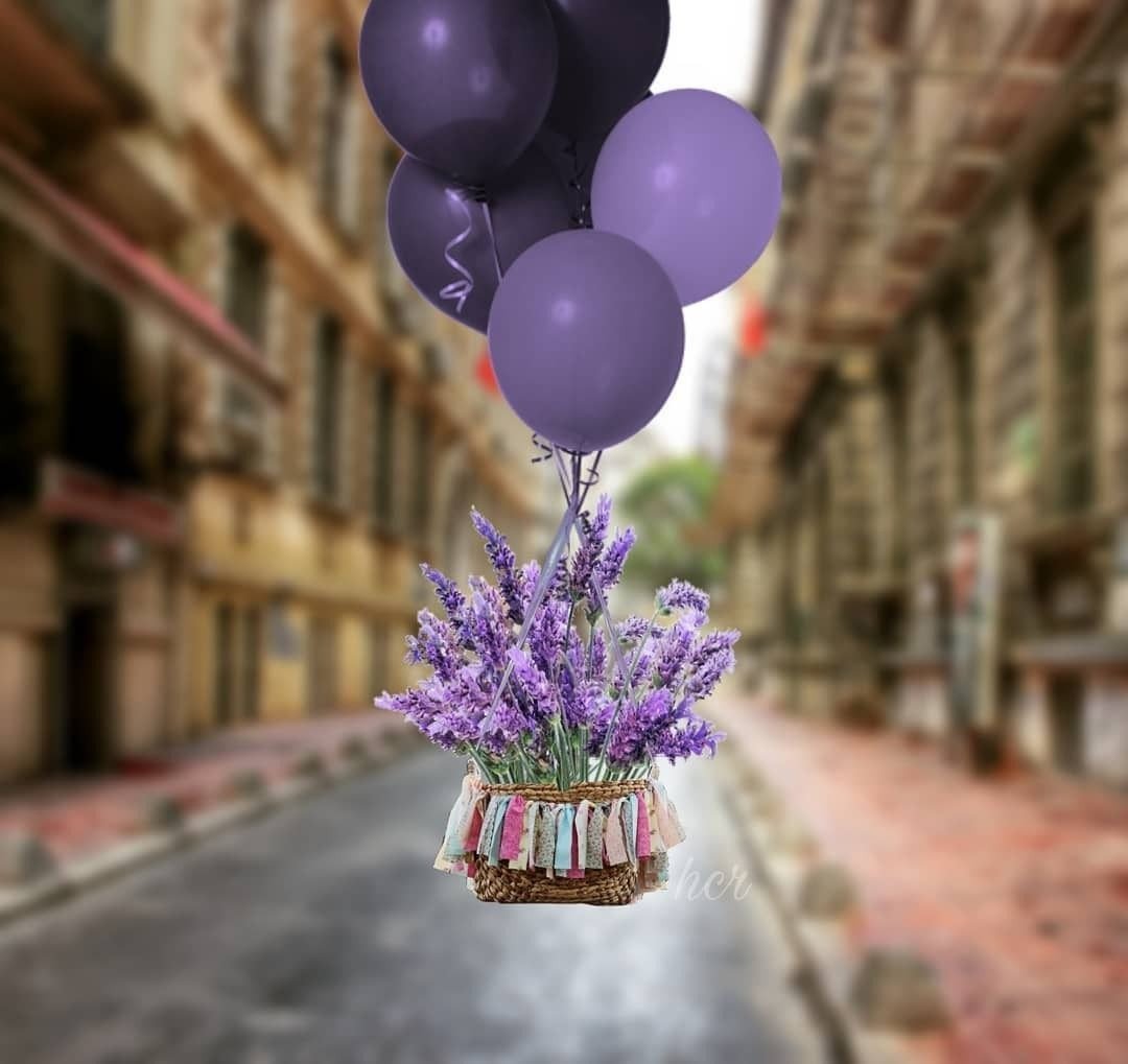 Воздушные шары в Провансе