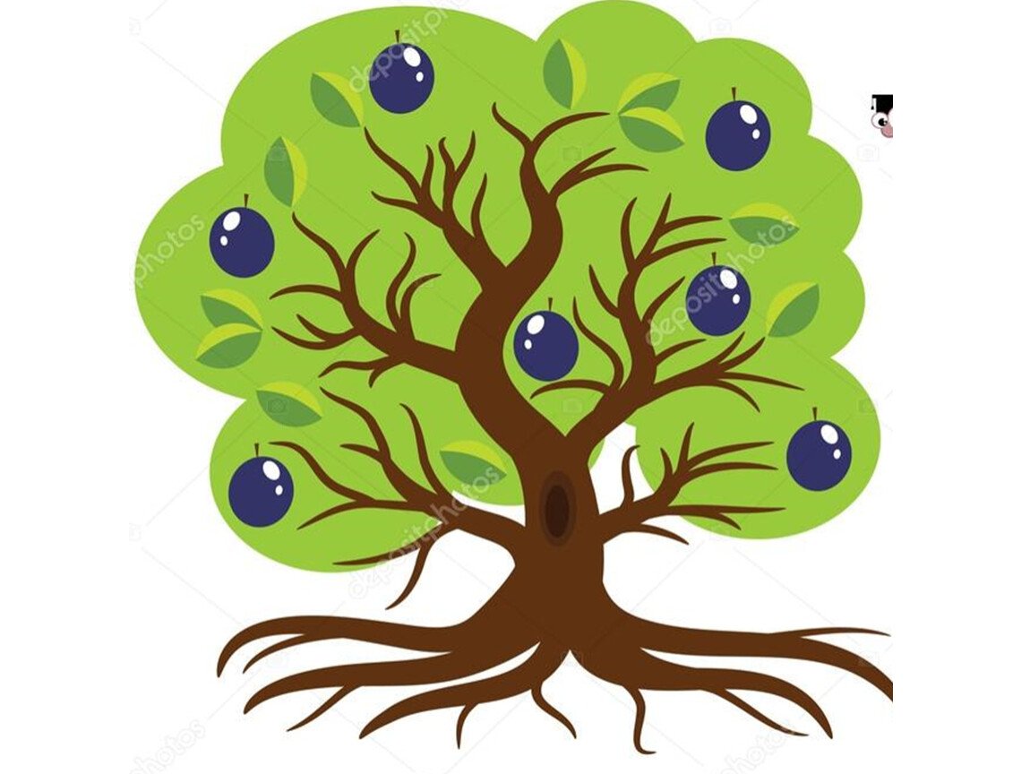 Сливовое дерево вектор