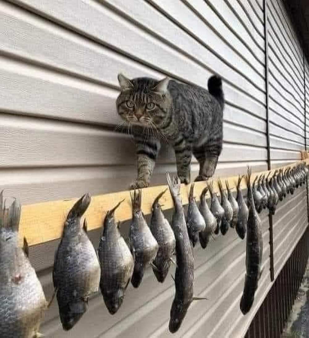 Всемирный день рыболовства