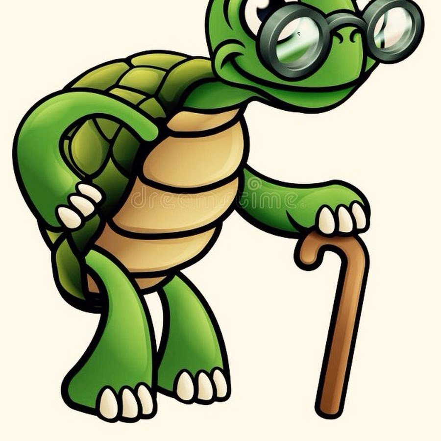 Мудрая черепаха хочет знать. Мудрая черепаха. Мудрая черепаха на прозрачном фоне. Мудрая черепаха рисунок. Мудрая черепаха Тортилла.