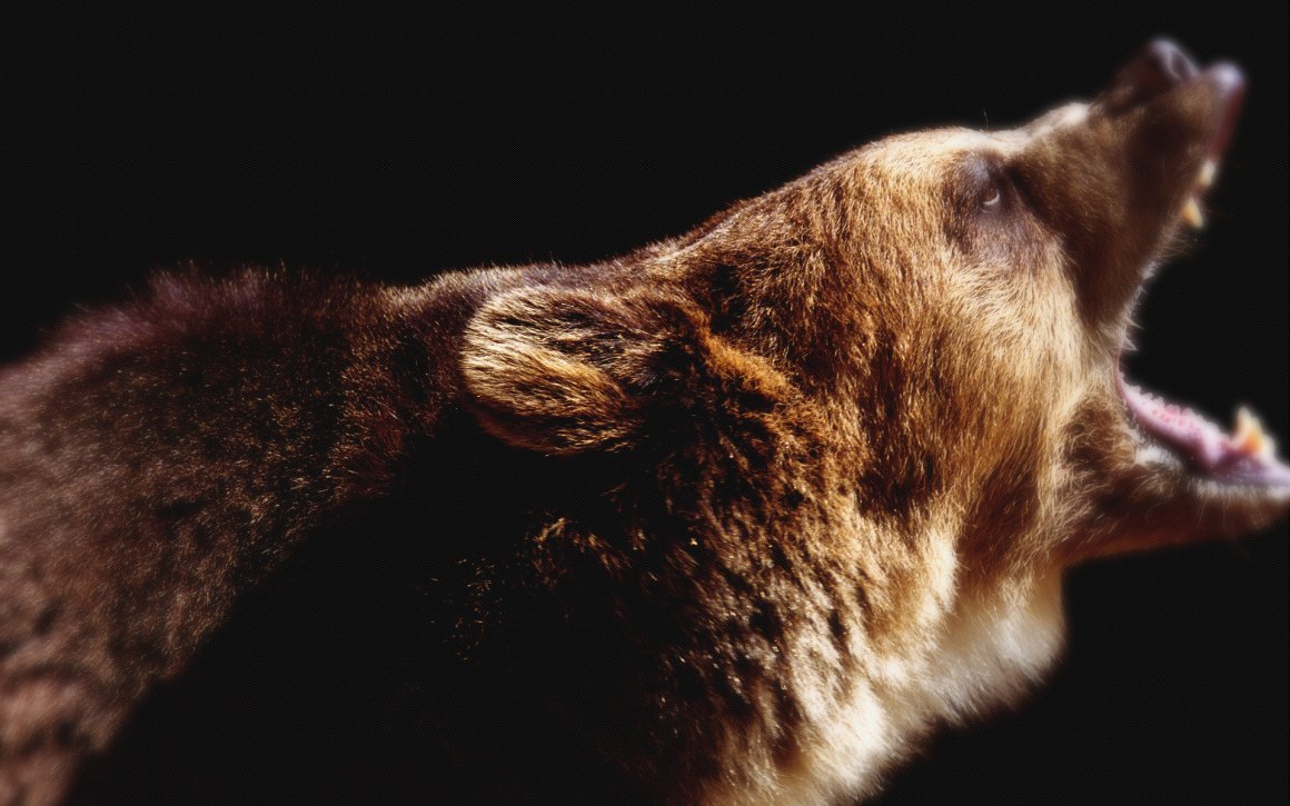 Медвежий оскал