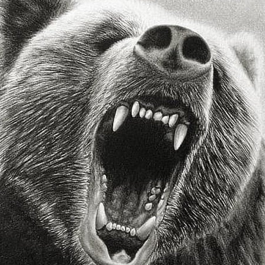 Злой белый медведь