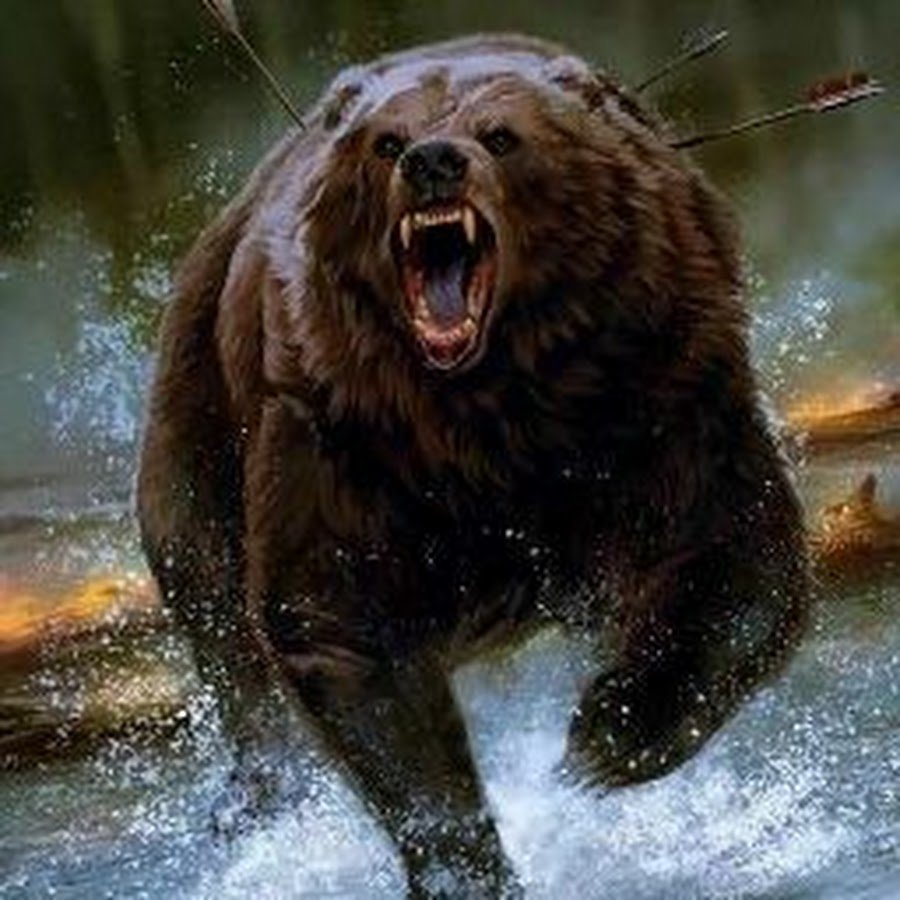 Кадьяк и Гризли