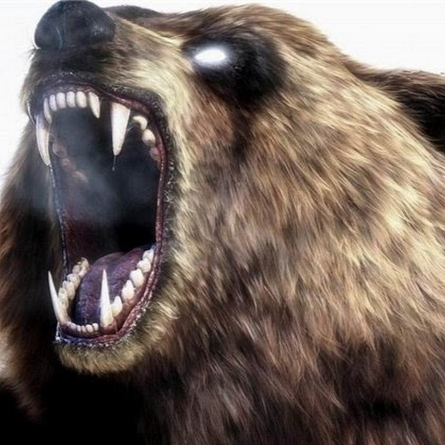 Оскал человека рисунок