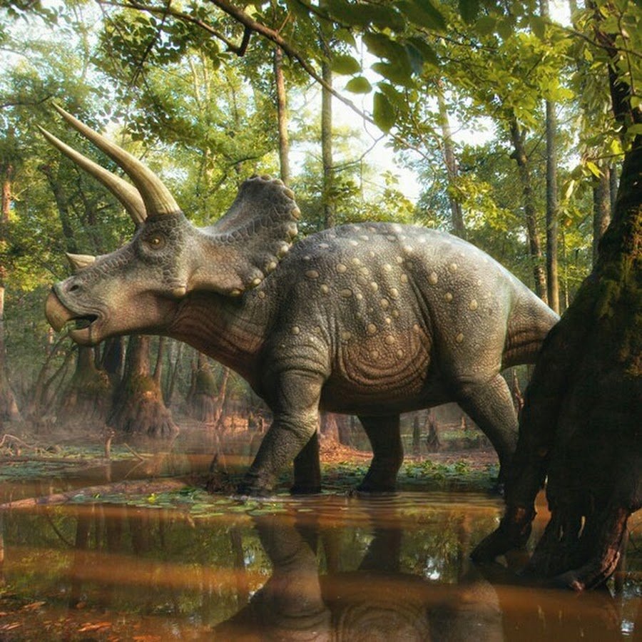 Трицератопс травоядный