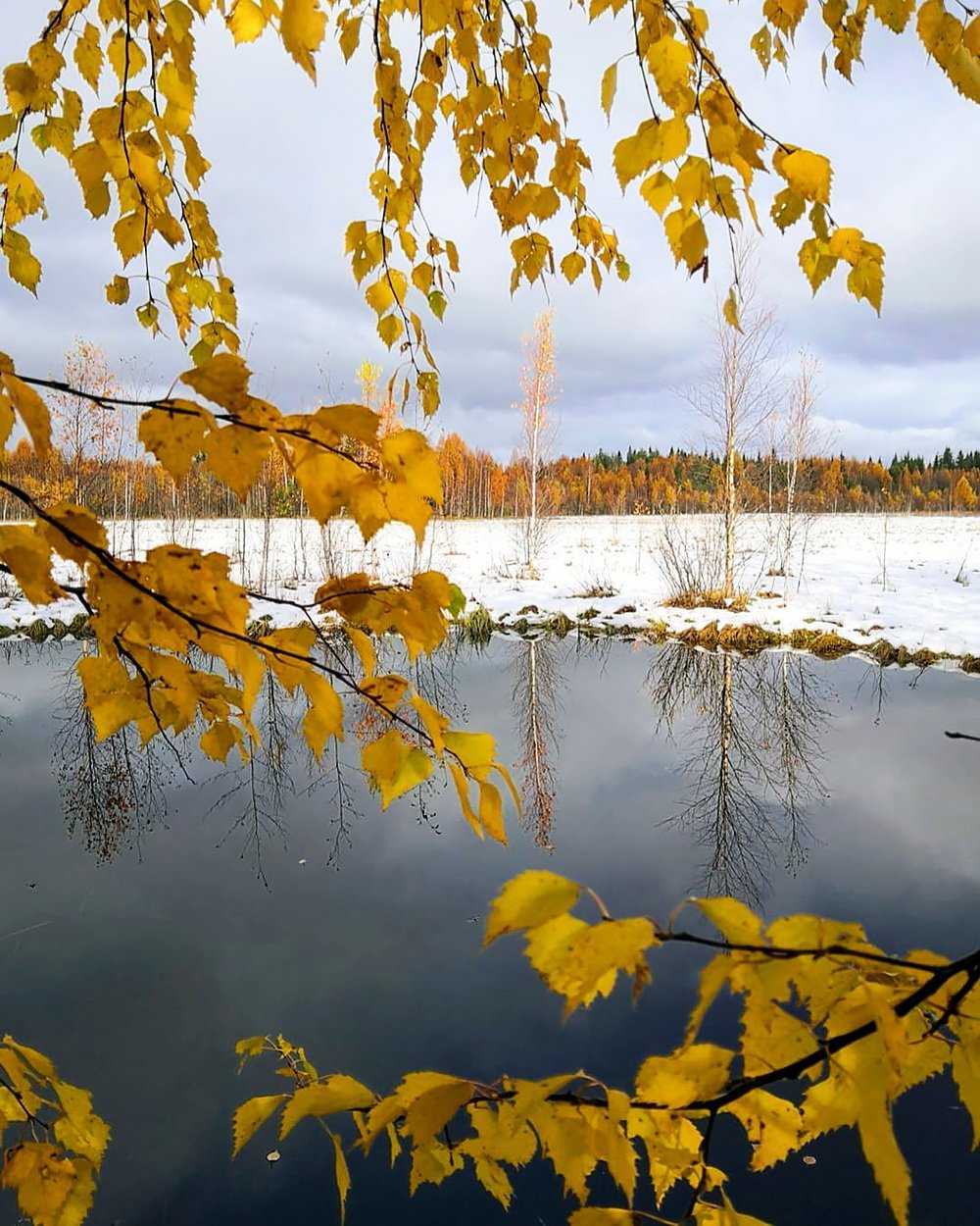 Уж небо осенью дышало