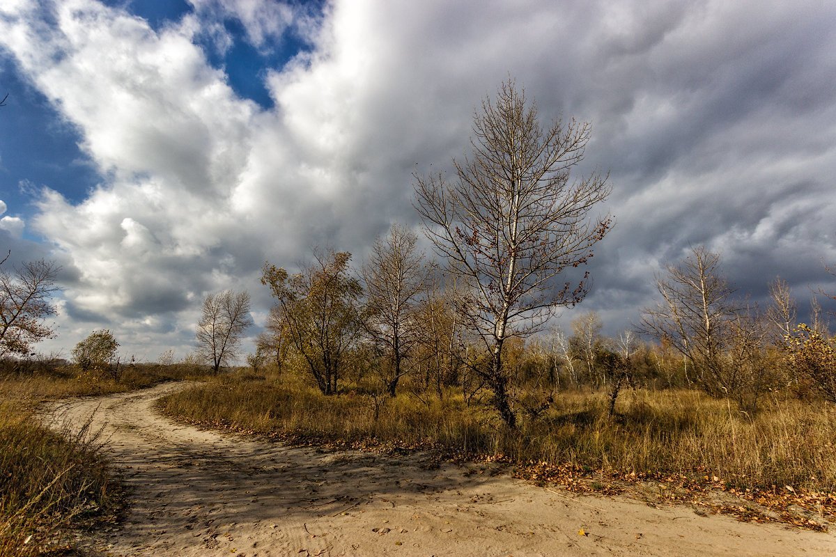 "Уж небо осенью дышало" Волгоградский конкурс