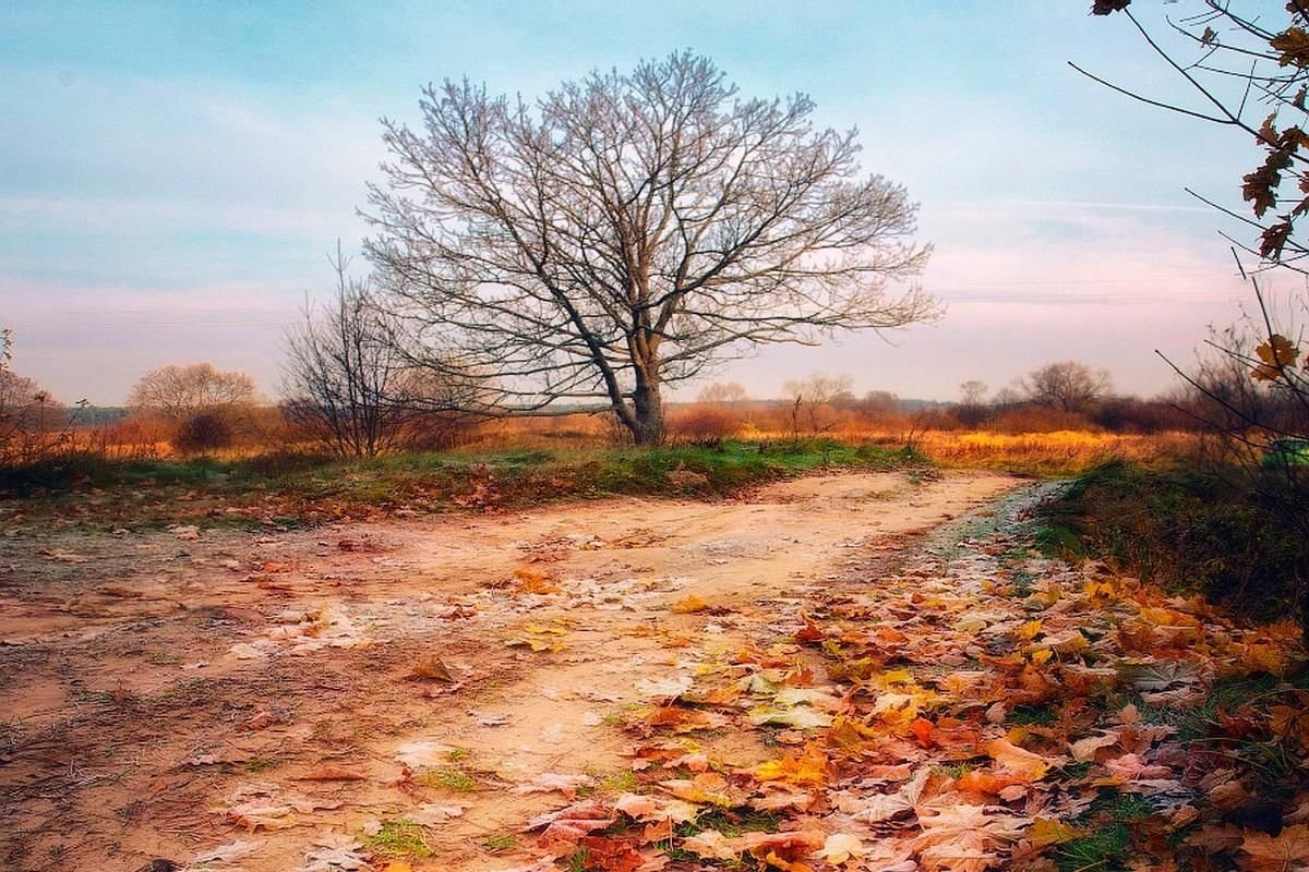 Уж небо осенью дышало Александр Лазарев