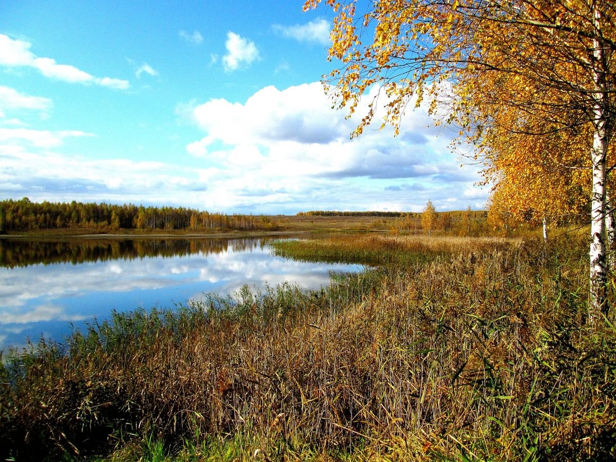 Стоял ноябрь у двора