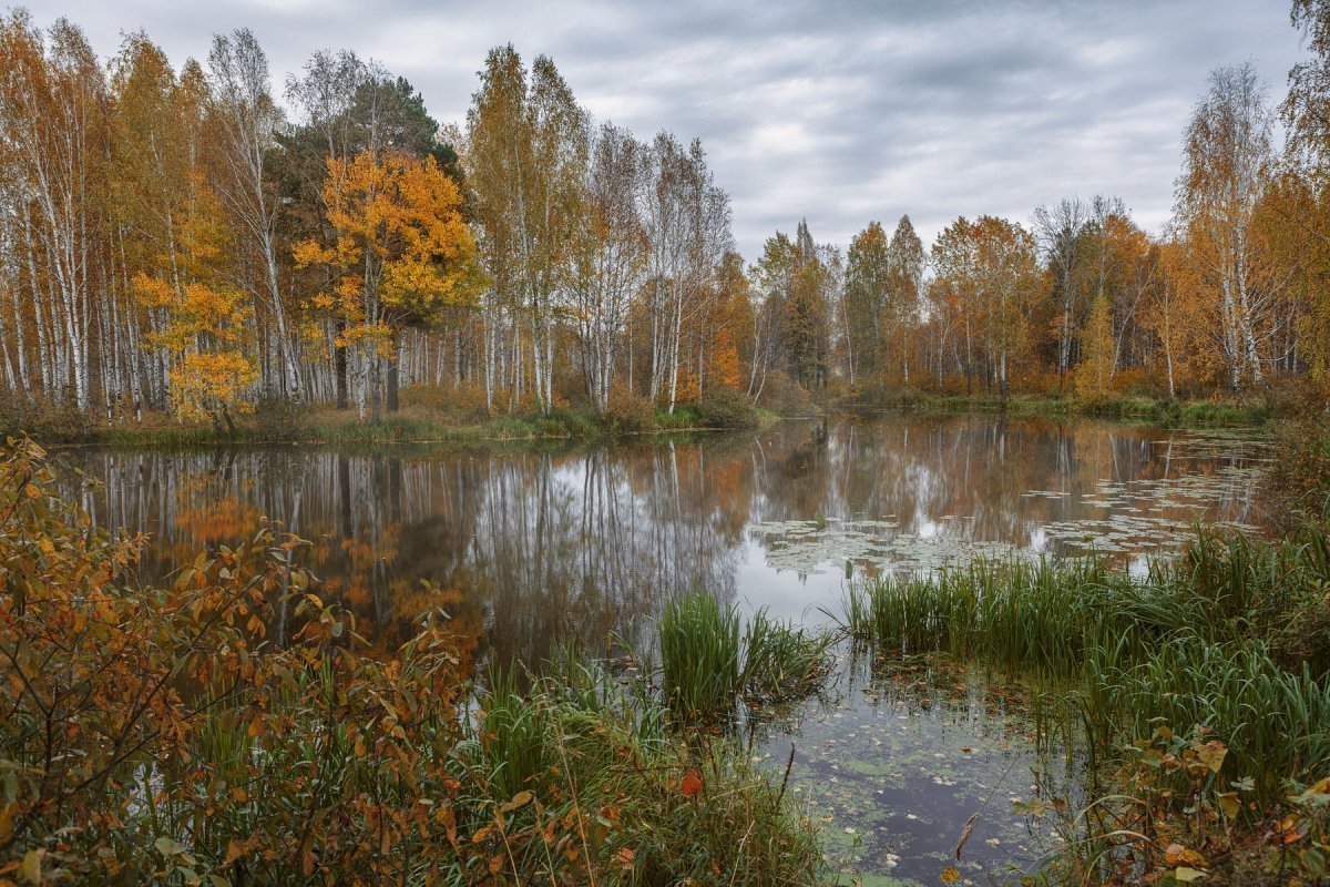 Осенне ноябрьское небо