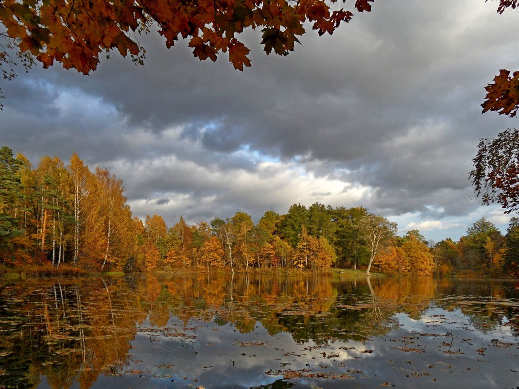 Доброе осеннее туманное утро в городе