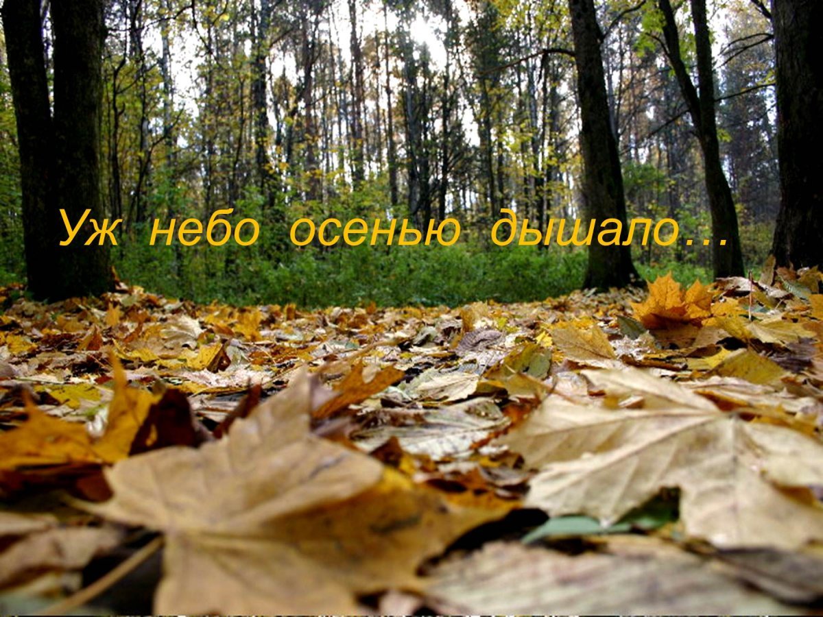 Уж небо осенью дышало