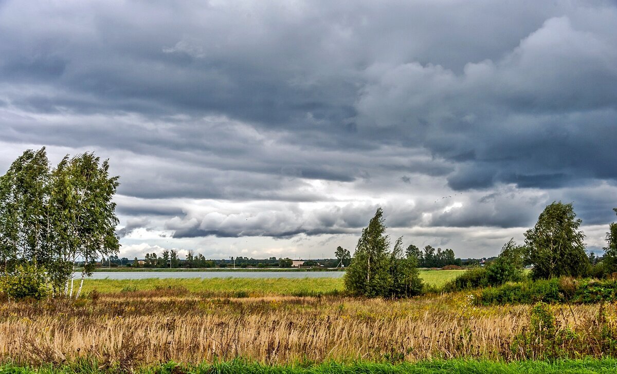 Осенний журавлиный Клин