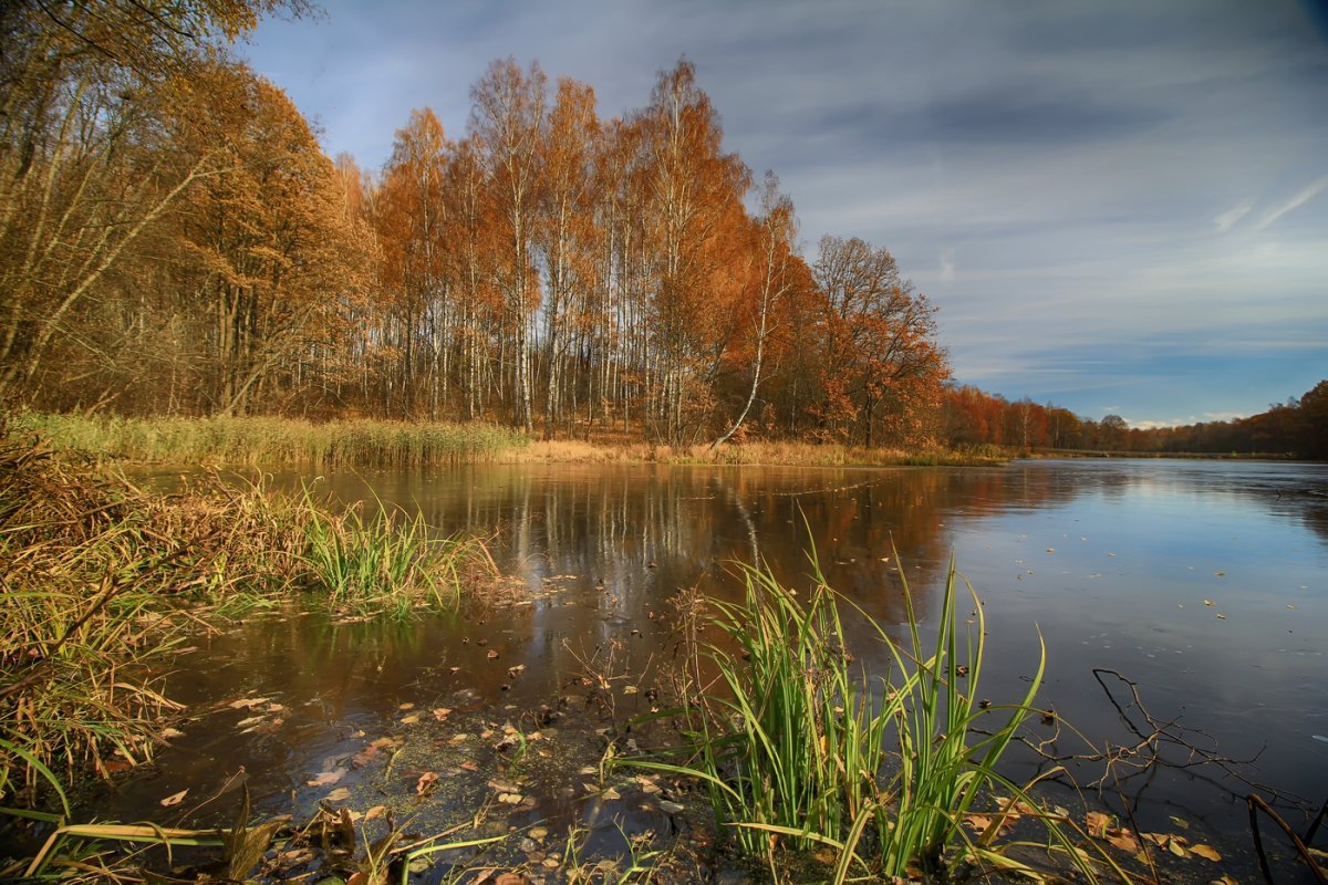 Небо осенью дышало