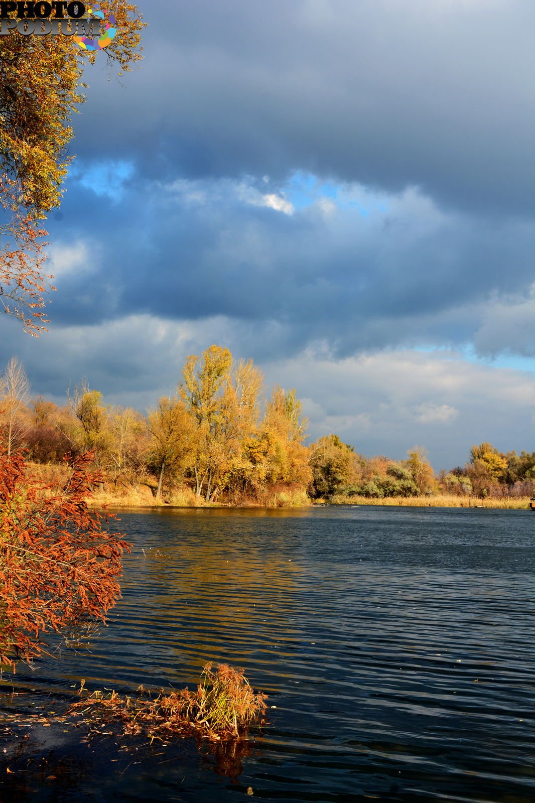 Художник Александр Цыганков