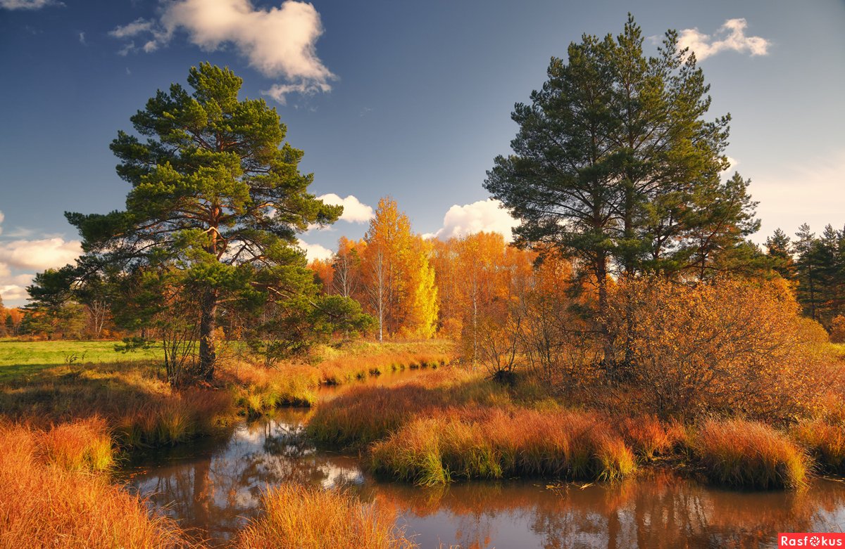 Октябрь пейзаж 21 октября Ясный