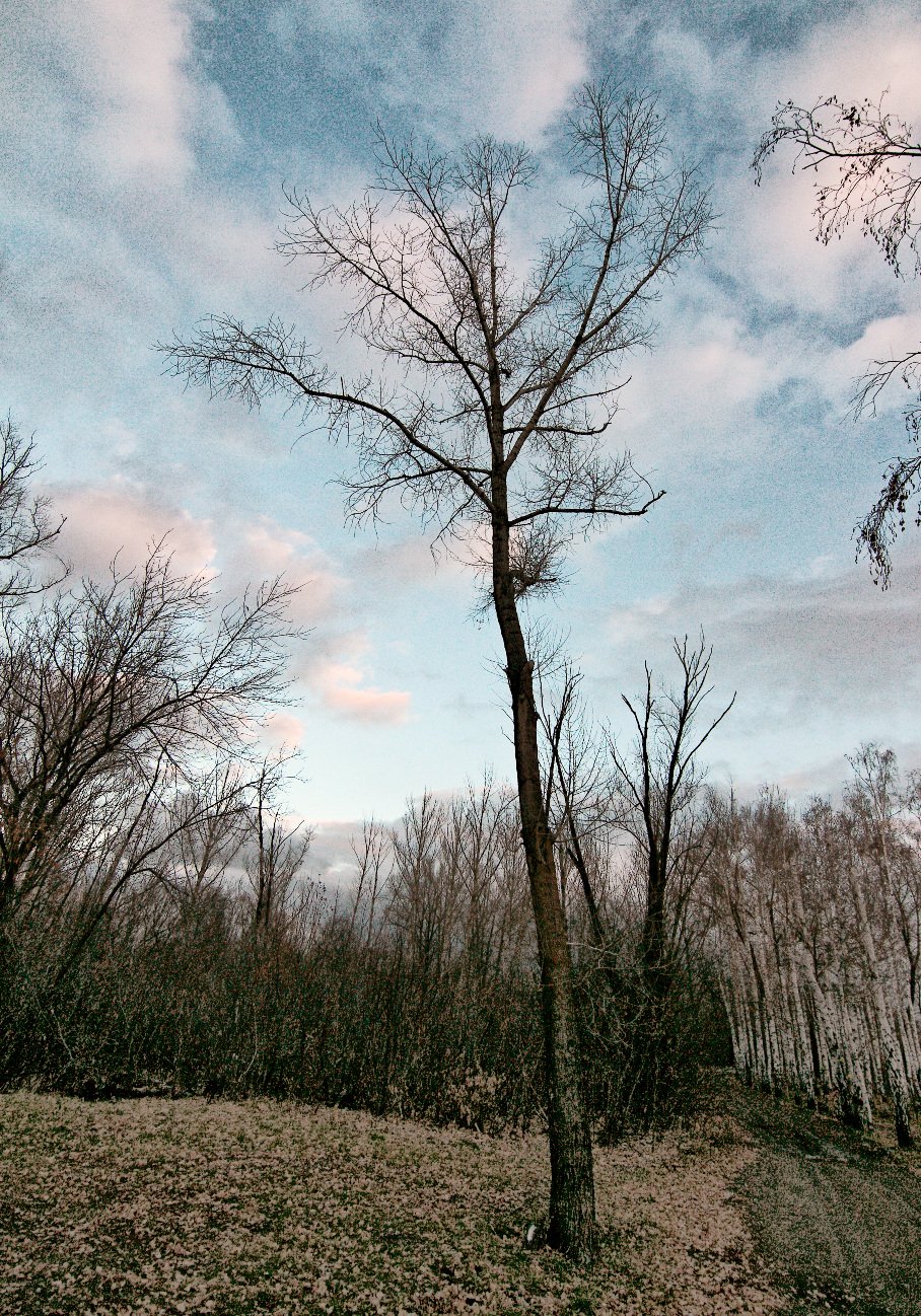 Ноябрь скучная пора