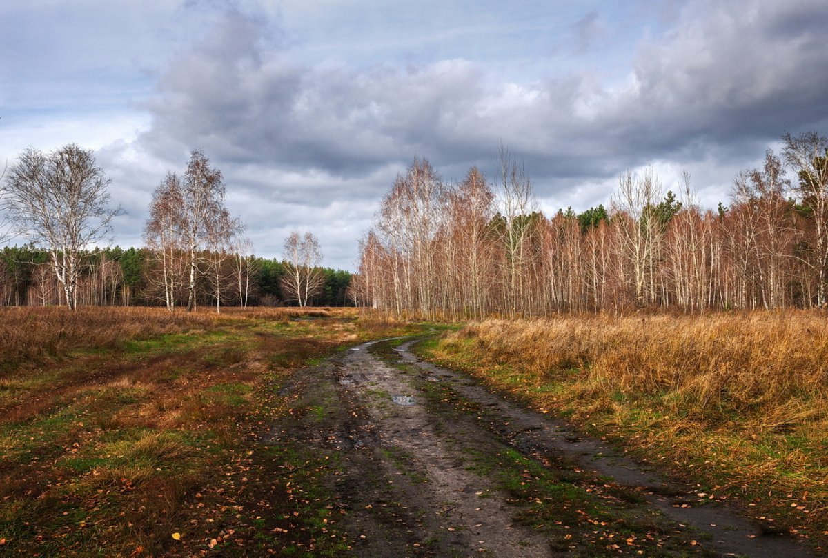 Стихотворение Пушкина про осень