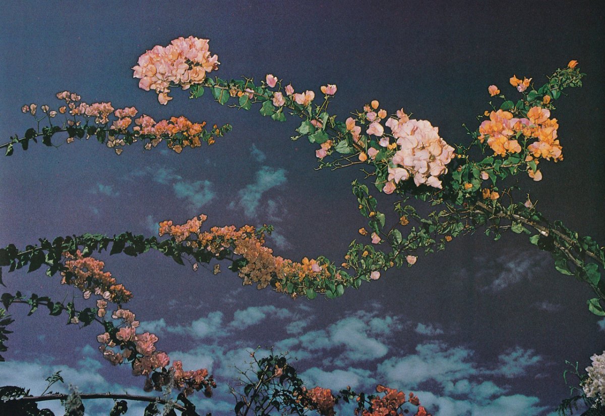 Фото на рабочий стол темные