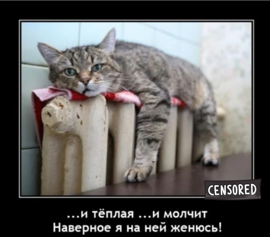 Оптимизм и пессимизм