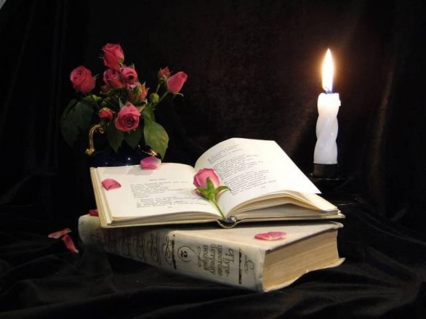Красиво о поэзии. Вечер поэзии. Поэтический вечер. Книга цветы. Поэзия книги.