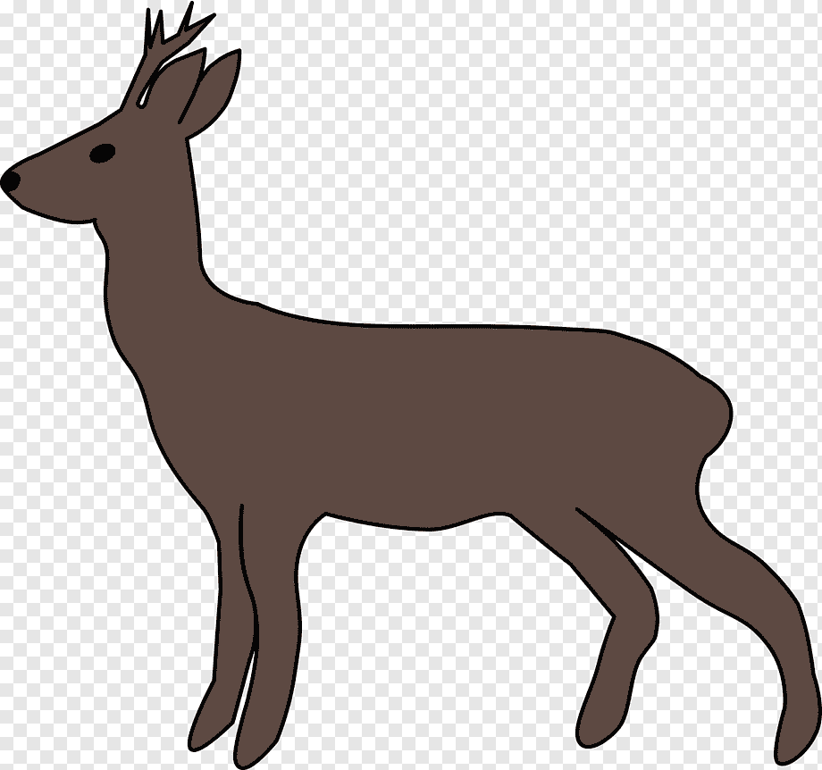 Милые иллюстрации животных