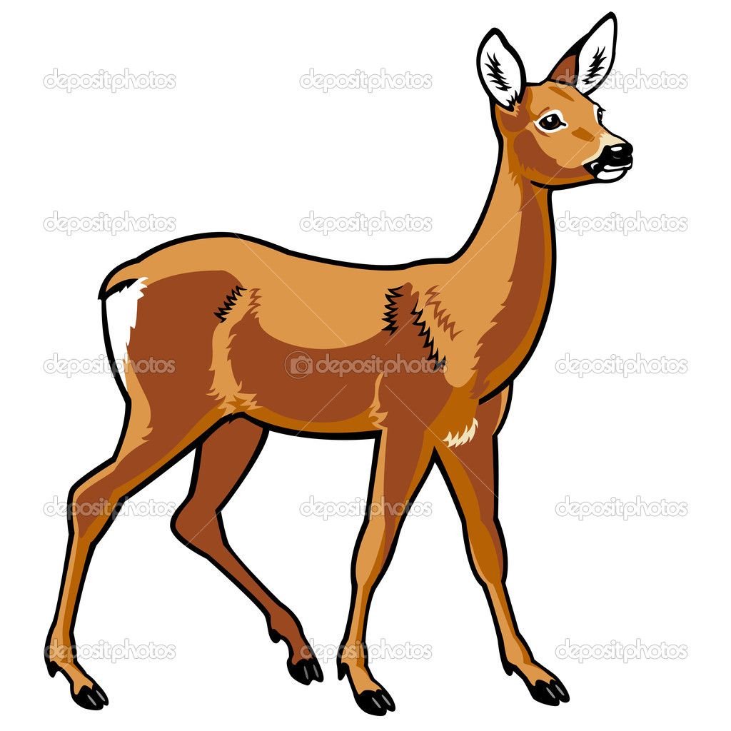 Олениха с олененком вектор
