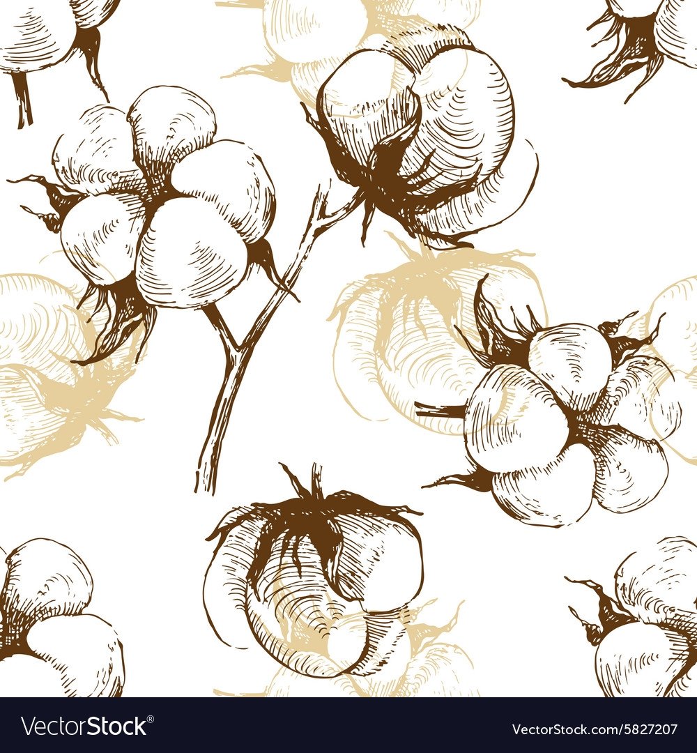 Хлопок зарисовка