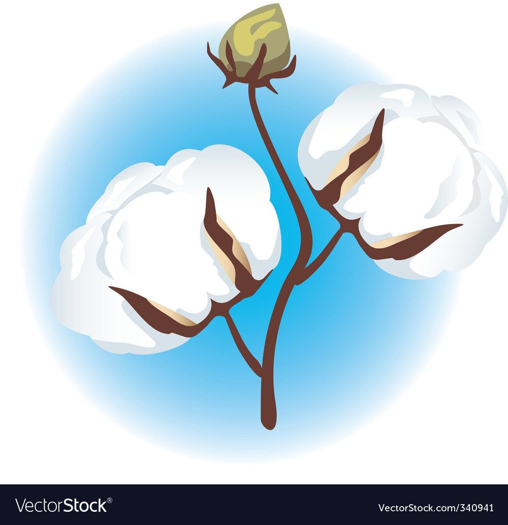 Иллюстрации хлопок для детей