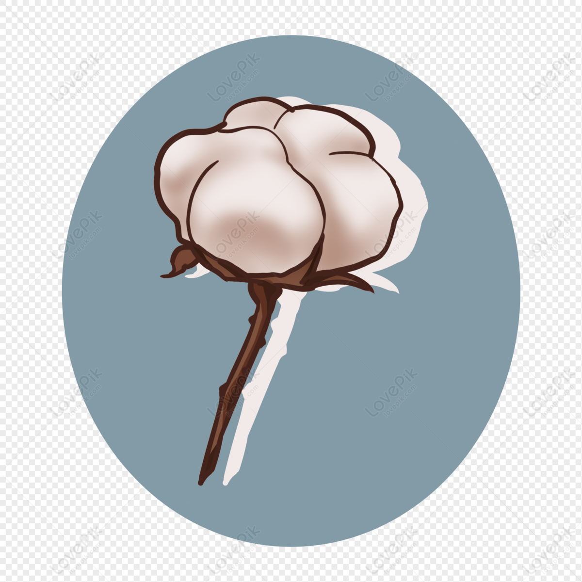 Хлопчатник мультяшный