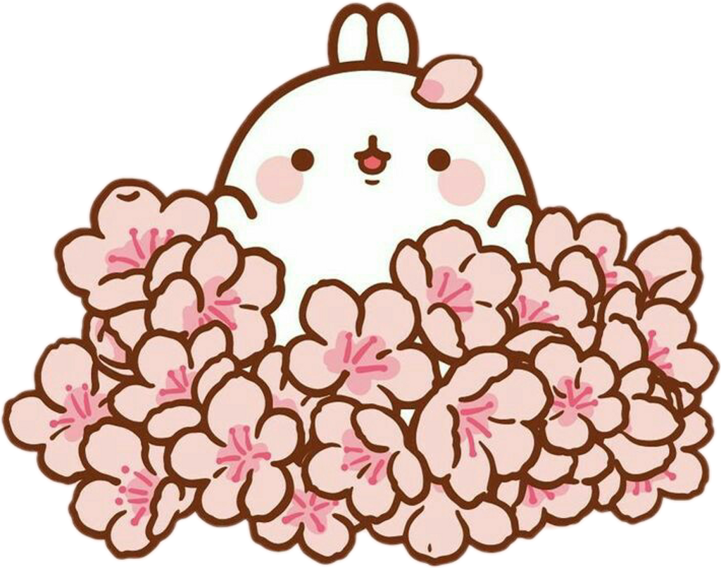 Корейский кролик Моланг