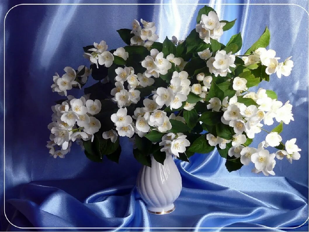 Принцессы Диснея