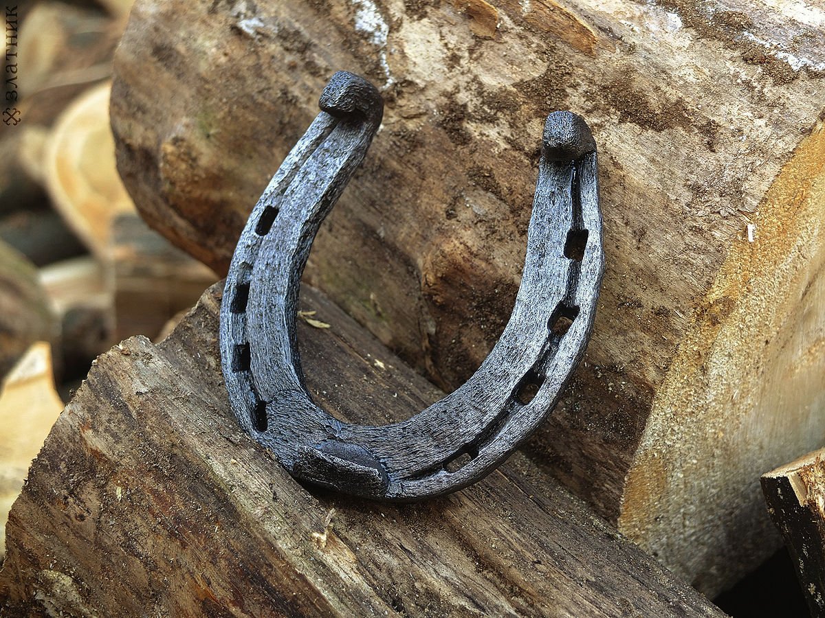 Подкова настоящая