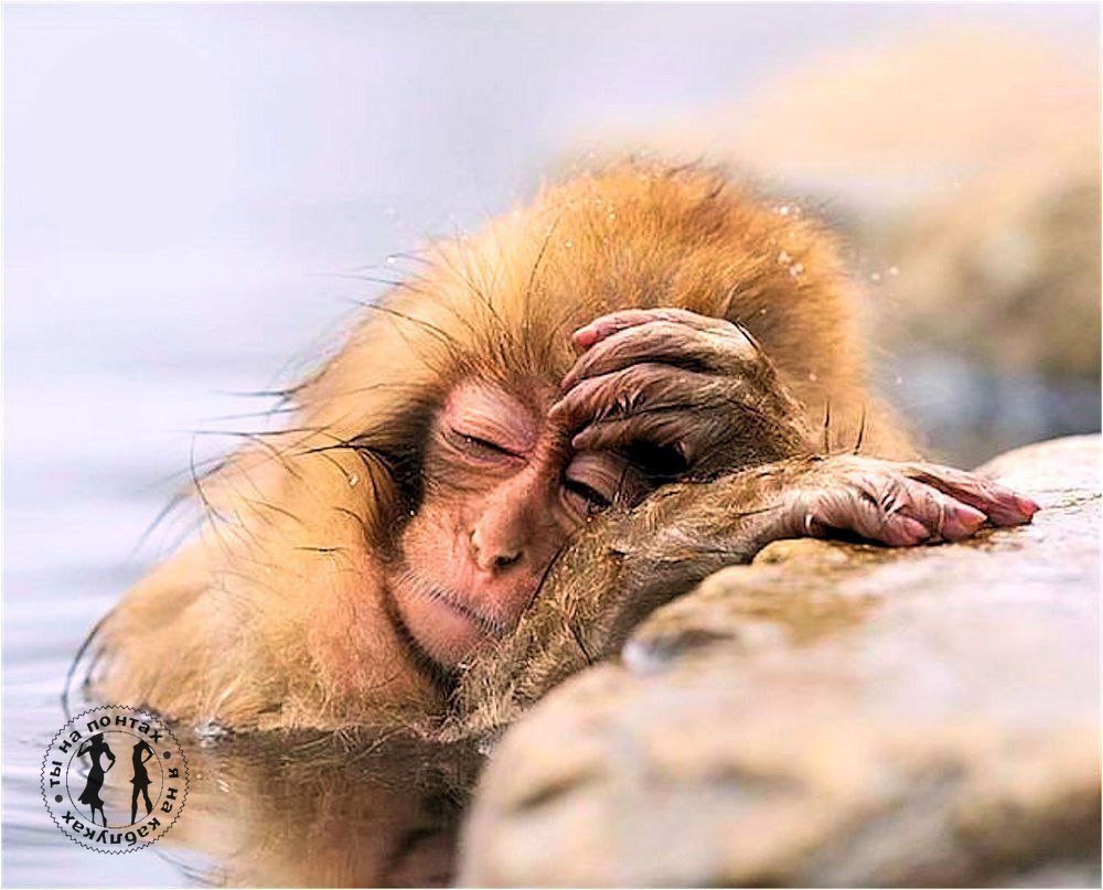 Приколы про усталость