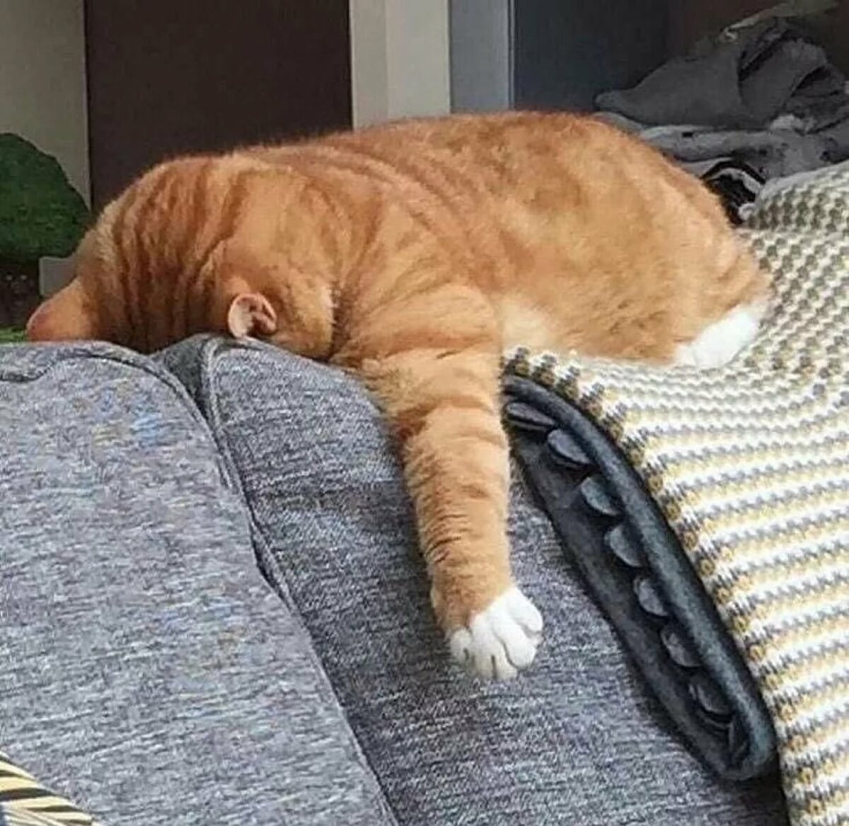 Мотиваторы усталости