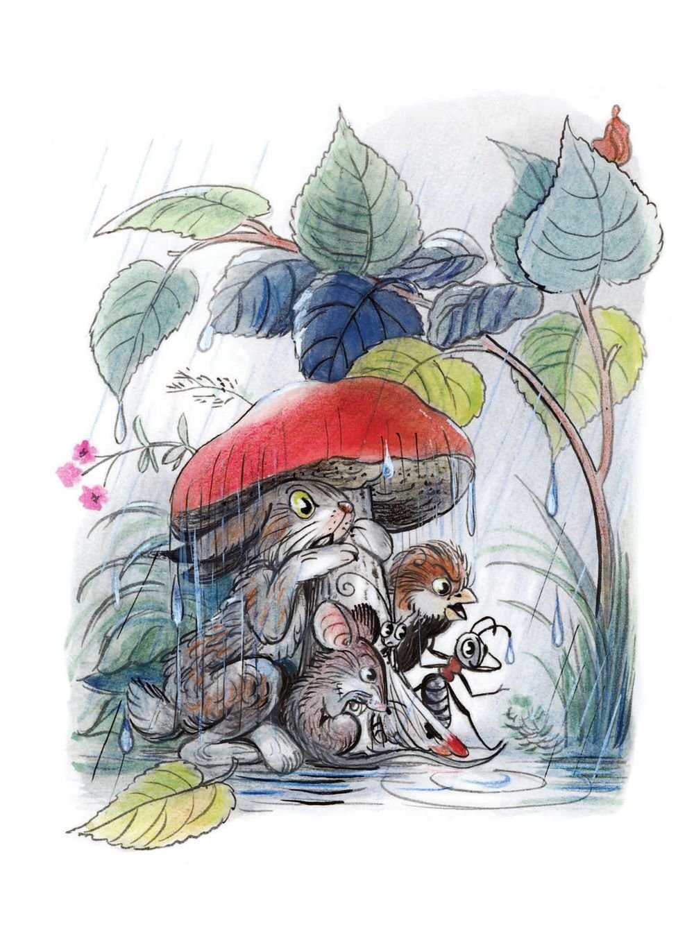 Владимир Сутеев под грибом