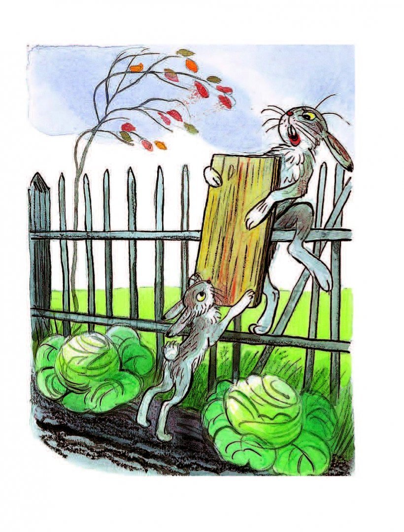 Владимир Григорьевич Сутеев иллюстратор