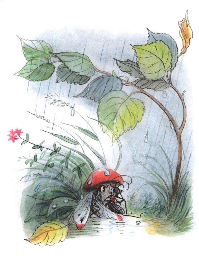 Сутеев Владимир Григорьевич иллюстрации