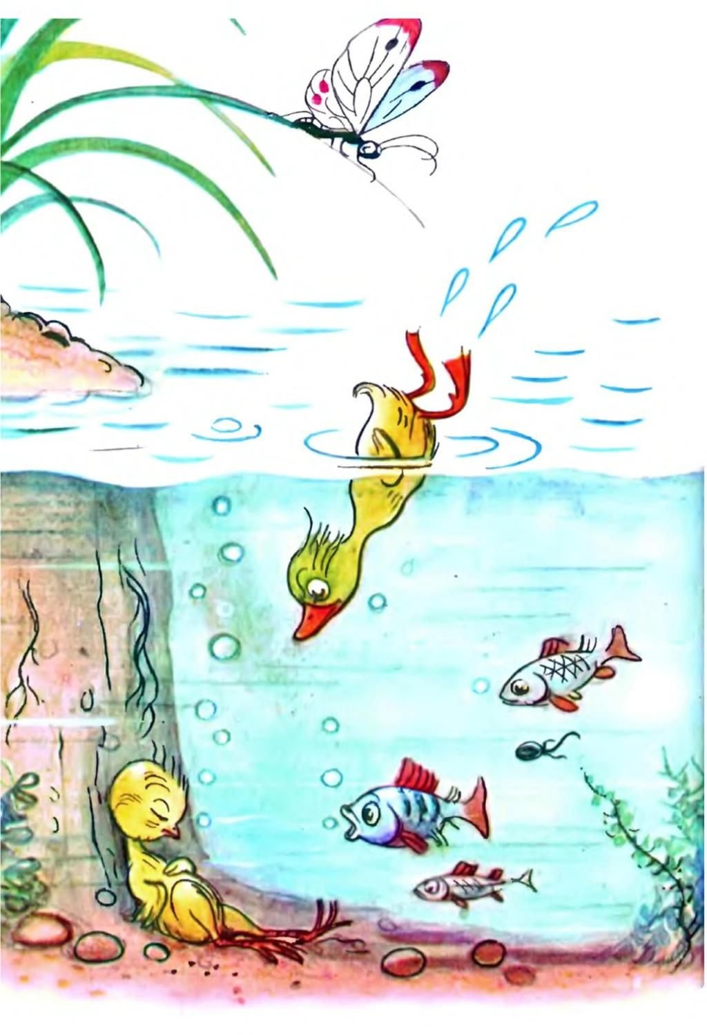 Сутеев мешок яблок